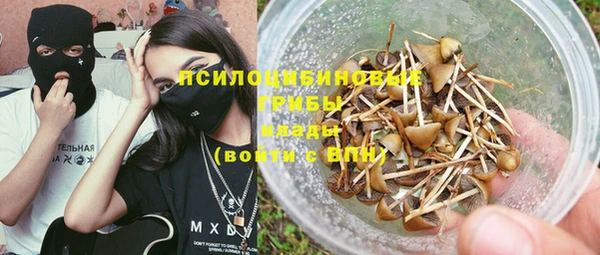 бошки Алексин
