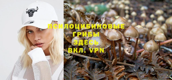 а пвп мука Алексеевка