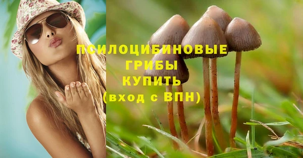 бошки Алексин