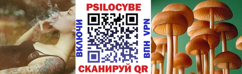 где найти наркотики  Грайворон  Псилоцибиновые грибы мицелий 